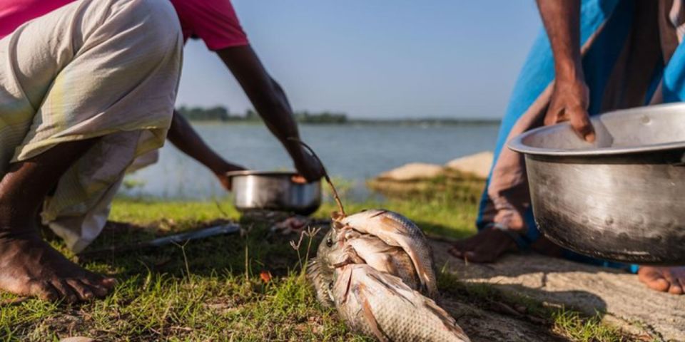 SriLankan Village Delight: Fish,Cook,Savor Lunch Experience - Itinerary Details