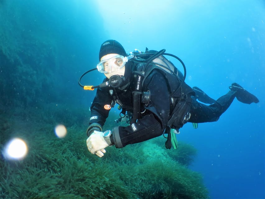 SSI Try Scuba Diving in the Sea - Pricing and Booking Details