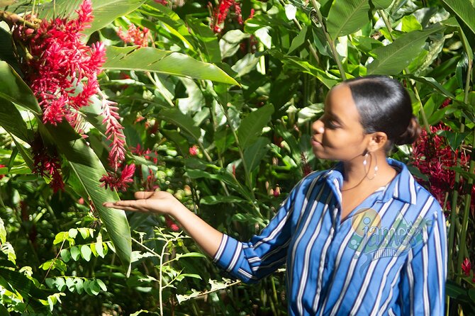 St. Lucia Botanical Gardens and Waterfall Tour Groups Only - Tour Highlights