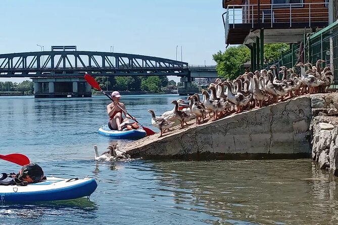 Stand Up Paddle Board or Kayak Rental in Shkodër - Transportation and Meeting Point