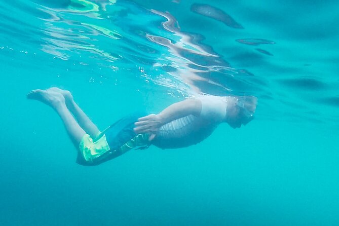 Stand Up Paddle Tour in Ferragudo SELF-GUIDED - Cancellation Policy