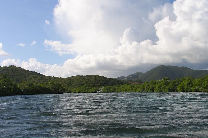 Stand Up Paddleboard Rental in St Thomas - Meeting and Pickup