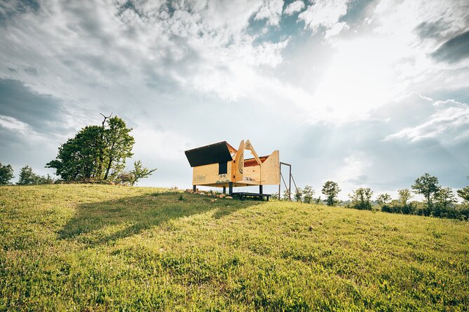 Stellar Picnic: Delight at Sunset in the Tuscan Countryside - Local Delicacies and Natural Wines