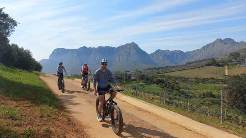 Stellenbosch: Stellenbosch E-Bike & Wine Tour (Shared Tour) - Experience Highlights