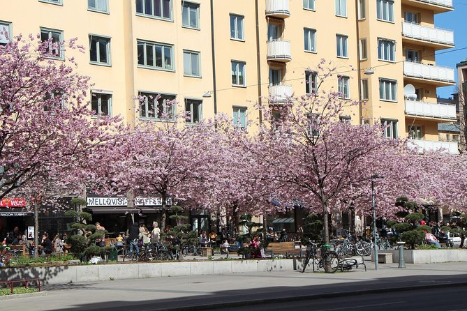 Stockholm Tour With a Local: Explore Hip and Bohemian Sodermalm - Tour Features
