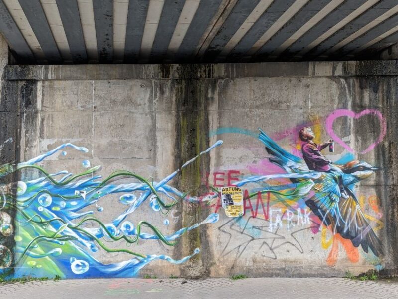 Strasbourg: Street-Art Tour - Experience Highlights