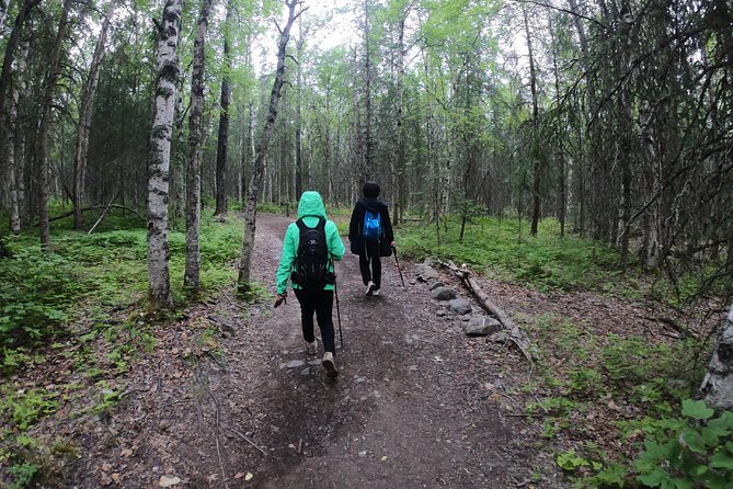 Summer Valley and Forest Hike - Tour Details and Inclusions