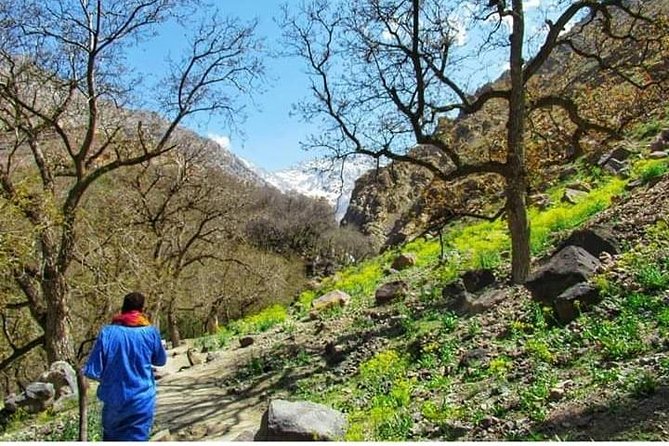 Summiting The Atlas Mountains, Day Hike And Trek From Marrakech - Hiking Experience
