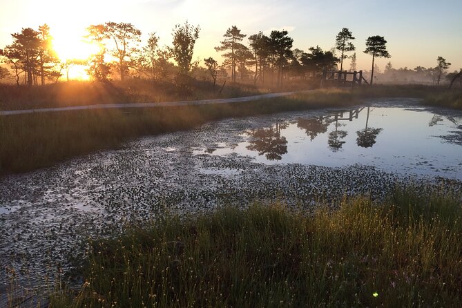 Sunrise at Kemeri National Park - What to Expect on the Tour