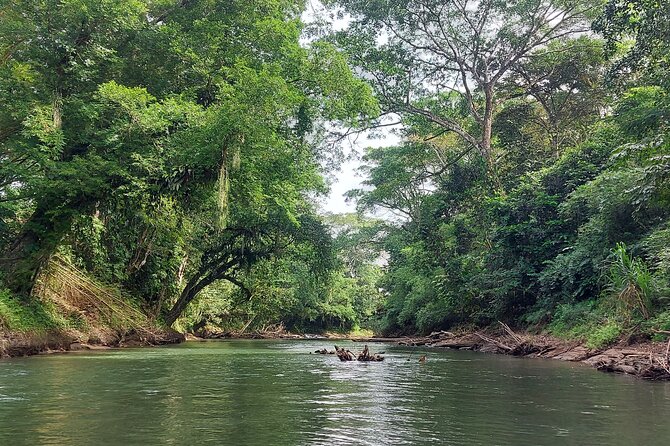 Sunrise Nature River Float Half-Day Tour in La Fortuna - Tour Itinerary