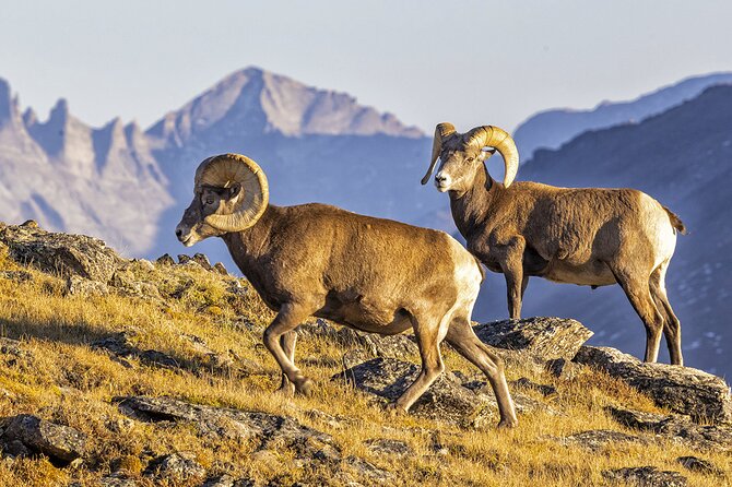 Sunset and Night Photography Tour on Trail Ridge Road - Inclusions