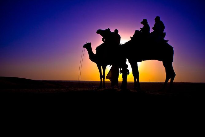 Sunset Camel Ride in Agadir or Taghazout With Transfers - Pickup and Transfer Details