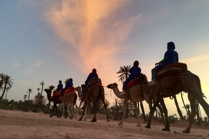 Sunset Camel Ride in the Palm Grove Of Marrakech - Meeting and Pickup Details