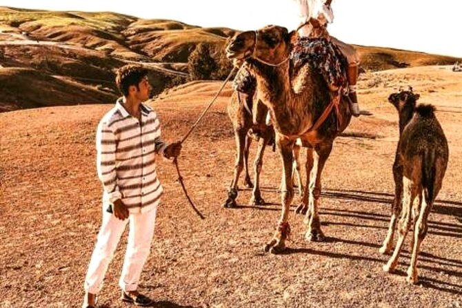 Sunset & Dinner in Desert Agafay Marrakech With Camels - Camel Ride Adventure