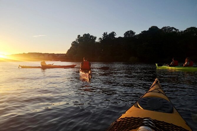 Sunset Kayak Tour in Central Stockholm and Swedish Fika - Safety and Equipment