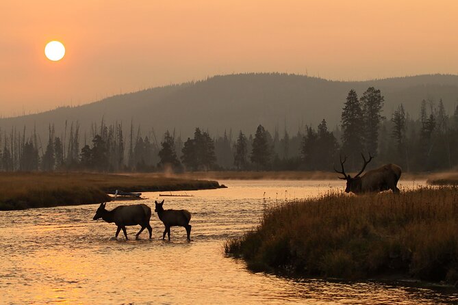Sunset Tour of Grand Teton National Park - Meeting and Pickup Options