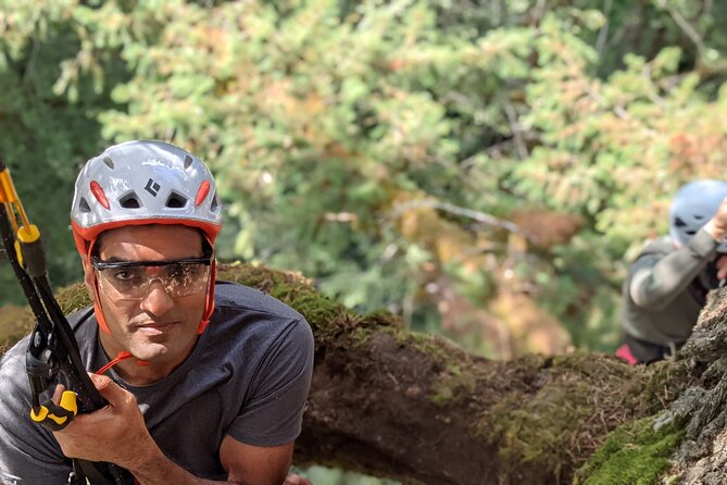 Sunset Tree Climb at Silver Falls State Park - Whats Included in Your Adventure