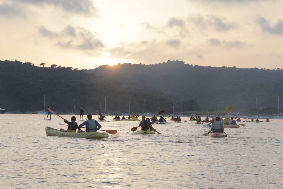 Sunset Trip Kayak Tour in the Gulf of Saint-Tropez - Experience Highlights