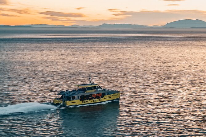 Sunset Whale Watching Adventure From Vancouver - Meeting and Check-In Details