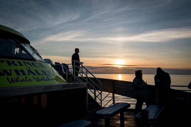 Sunset Whale Watching Adventure From Victoria - Departure Details