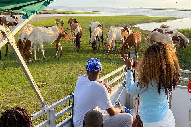 Sunset Wildlife Cruise Along Assateague & Chincoteague Island - Capturing Stunning Sunset Photographs