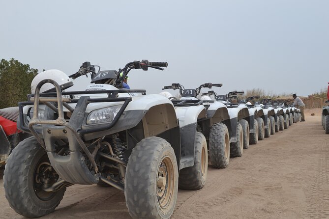 Super Safari ATV, Drive Buggy Car, Camel Ride, Bedouin Dinner, Show-Hurghada - Pickup and Arrival Process