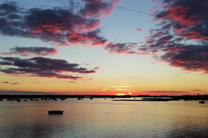 Surf & Sup - Exploring Ria Formosa
