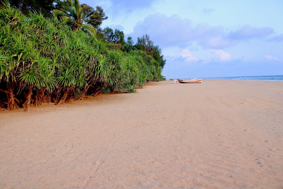 Surfing in Mount Lavinia - Surfing Experience