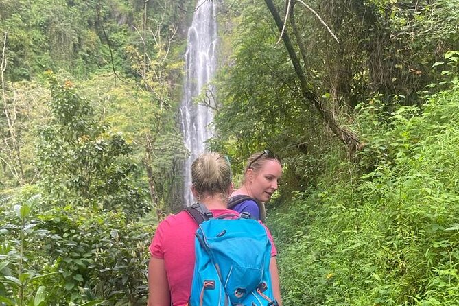 Swim to Materuni and Kikuletwa Hotspring - Exclusions to Consider