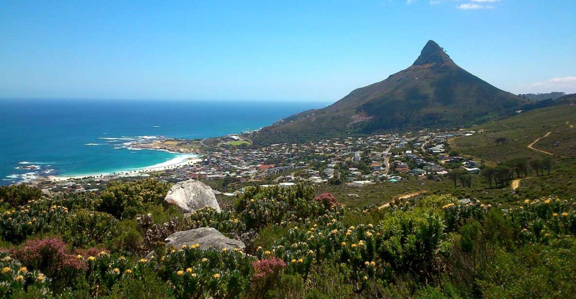 Table Mountain: Easy Walk for the Whole Family - PRIVATE - Activity Highlights