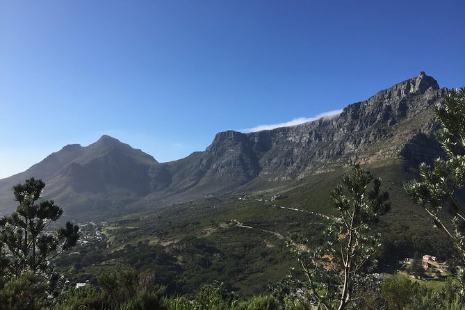 Table Mountain Hike (All Routes) - Private Tour - Physical Requirements and Accessibility