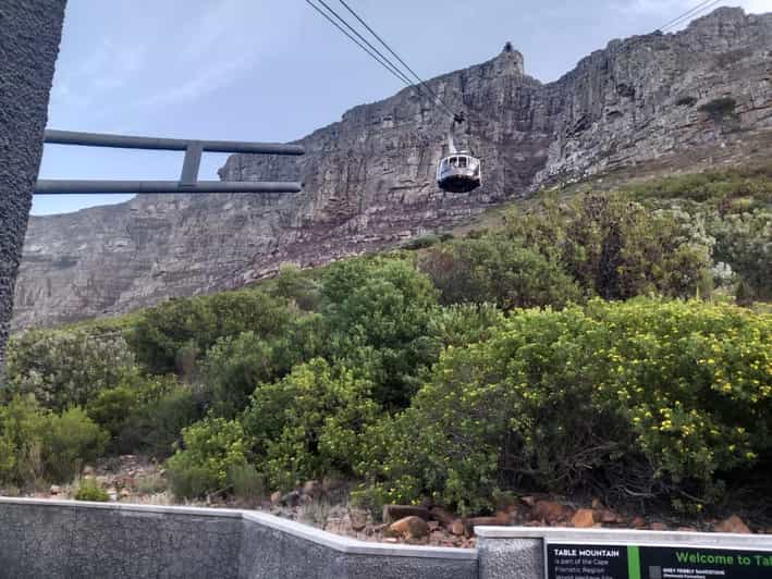 Table Mountain, Kirstenbosch Gardens & Constantia Wine Tour - Exploring Kirstenbosch Botanical Garden