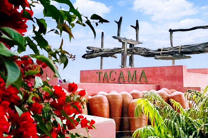 Tacama Wine Experience and Pisco Museum and Pisco Sour Class - Inclusions and Amenities