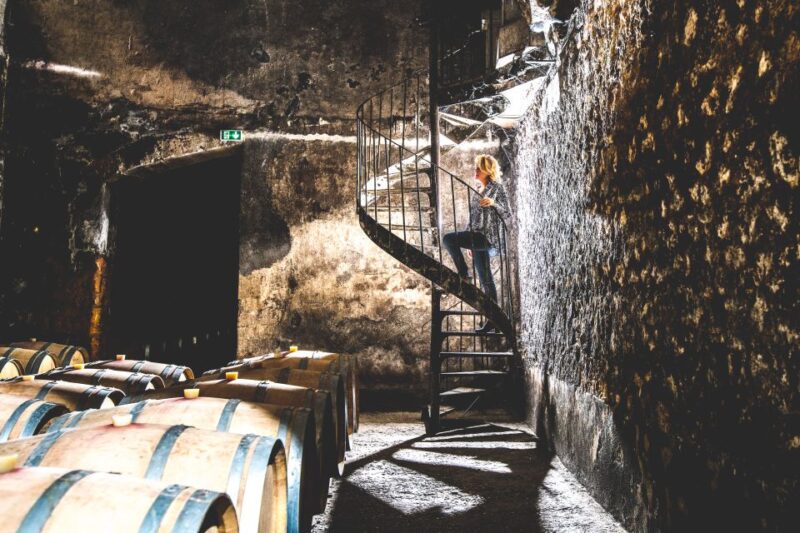 Taillan-Médoc: Château Visit and Wine Tasting in Bordeaux - Tour Inclusions