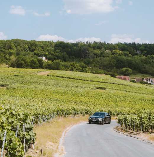 Tailormade Experience in Champagne - Passionate Individuals Shaping Vineyards