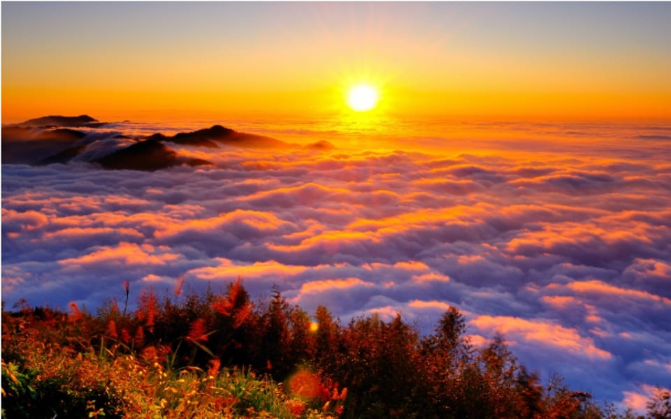 Taiwan: Alishan National Forest Recreation Area E-ticket - Experience Highlights