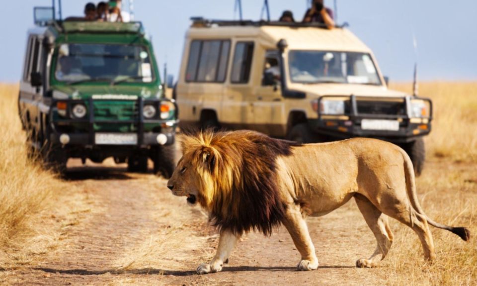 Tala Game Reserve & Natal Lion Park Full Day Tour Fr Durban - Highlights of Tala Game Reserve