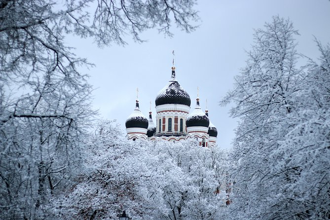 Tallinn Top Attractions and Viimsi Open Air Museum - Experiencing the TV Tower Observation Deck