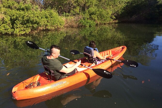 Tamarindo River Guided Kayak Mangrove & Environment Watching Tour in Guanacaste - Meeting and Pickup