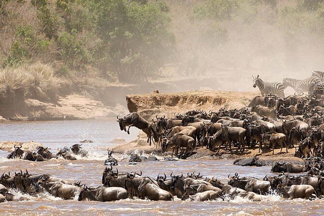 Tarangire, Serengeti, Ngorongoro & Lake Manyara Group Safari (5 Days) - Itinerary Highlights