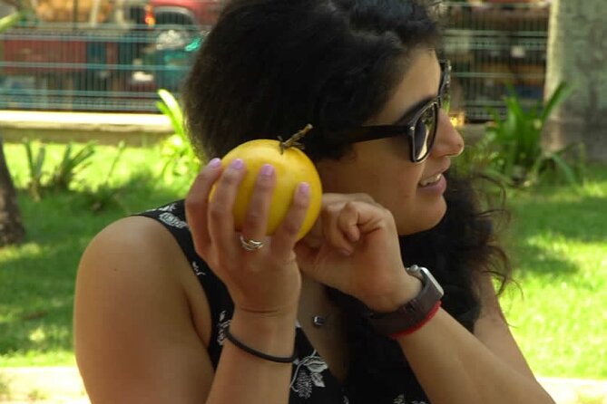 Taste 17+ Tropical Brazilian Fruits at a Lively Farmers Market - Tasting Menu