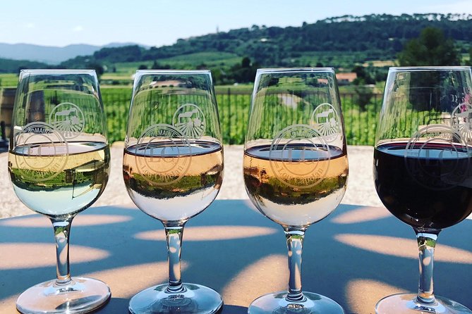 Tasting Bandol Wines & Visit of Cellar (in English) - Wine Tasting Process