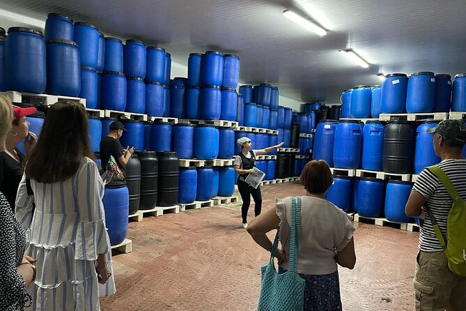 Tavira Olive Experience Factory Tour and Tasting - Tour Highlights and Inclusions
