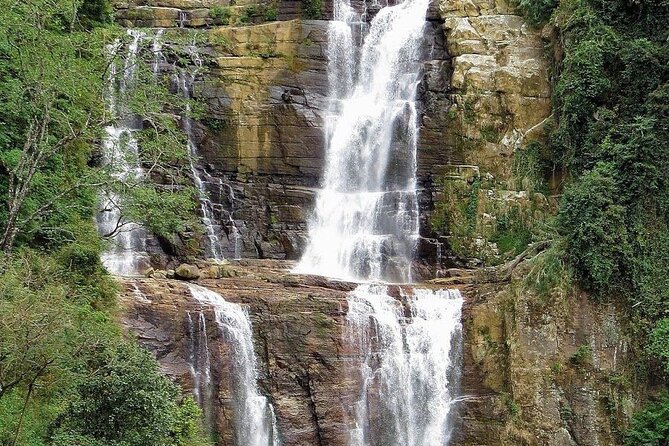 Tea Factory Plantation and Water Falls Tour - Inclusions and Exclusions