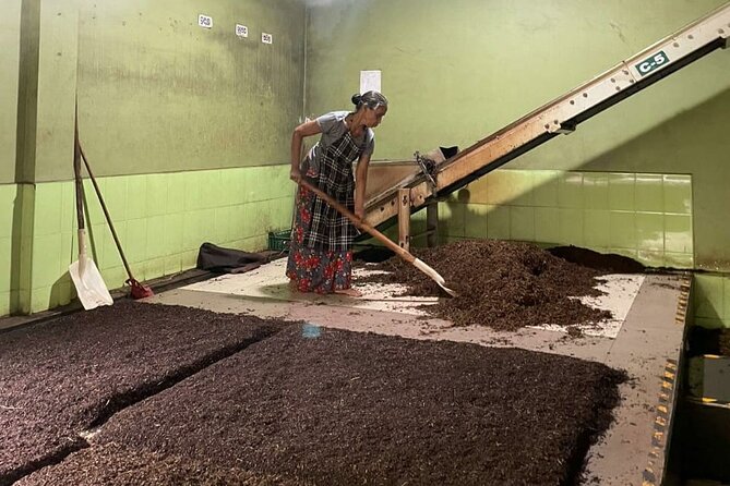 Tea Factory Tour With Tea Tasting Session - Location Details