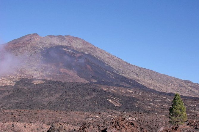 Teide Essential Shore Excursion VIP TOUR - Inclusions and Details