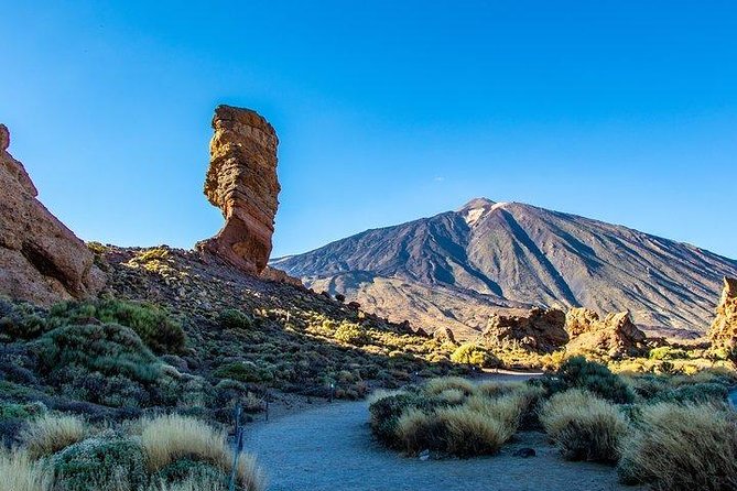 Teide-Icod-Garachico-Masca (Most Popular Bus Tour in Tenerife) - Tour Inclusions