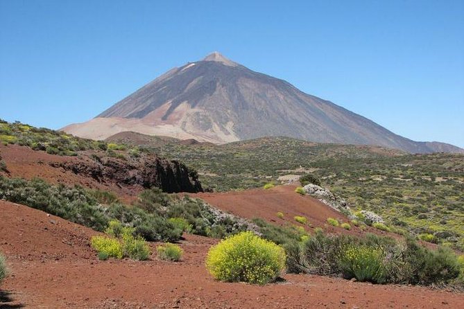 Teide National Park (5-7hours) - Meeting and Pickup Details