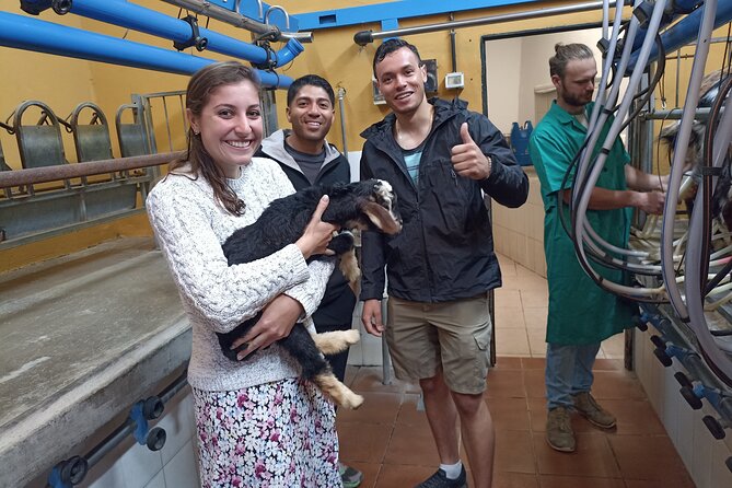 Tenerife Animal Farm Private Car Tour. Canarian Cheese and Wine - Itinerary Highlights