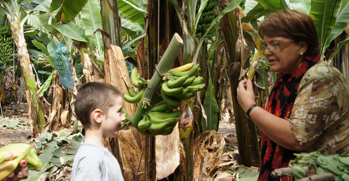 Tenerife: Finca Las Margaritas Banana Plantation Experience - Self-Guided Tour Exploration